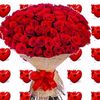 user4243615710777