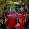 red_berry30