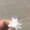 nrlizzah_3