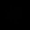 z.vii
