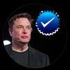 officia_musk_1
