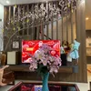 nguyenhang7079
