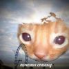 humanoidcatfromthemoon