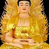namdoan79_