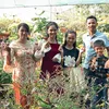 l.th.trinh29