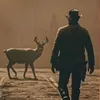 nikolakotur_