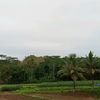 hiburanpl