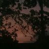 susi_123123