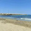 sciutosilvana