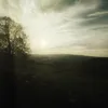 Vetrxc