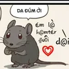 mouse.rezo