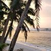 frommyisland
