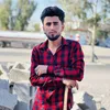hamatiger01