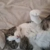 luna.xhh
