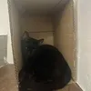 blackrubberwatplays