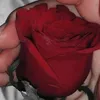 user203910240