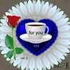 user3222944400797