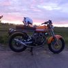 cb_sunkist
