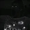 dgmulcilon22