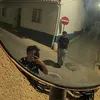 cesarinofr