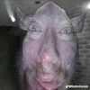 turtlecat54