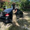 dpurwanti471