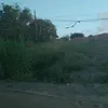 renaldoaparecido3