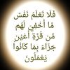 .mohra511