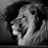 stts_gospel