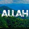 usamaisah8