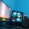 pisicoclash_ff