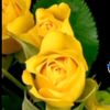 user882428550316232