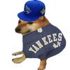 cheem_dog_19