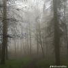 nyxdark13