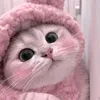 ngoclinhh19025