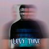 levytune