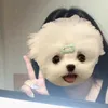 mooklynrujirapha