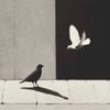 risad04