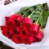 wardah_10_01