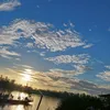 linhhuynh254585