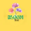bloomtheory00
