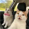 huonggianq_itzz
