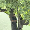 sardarkarem826