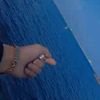 hodhod407