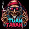 semut_hitam_97