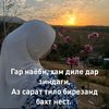 samirajon.ru