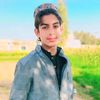 shasawarlofar