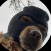 renatobonfim_rcb