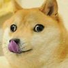 jimdoug1