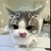 diamondislostrn